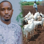 InShot_20260129_162724638