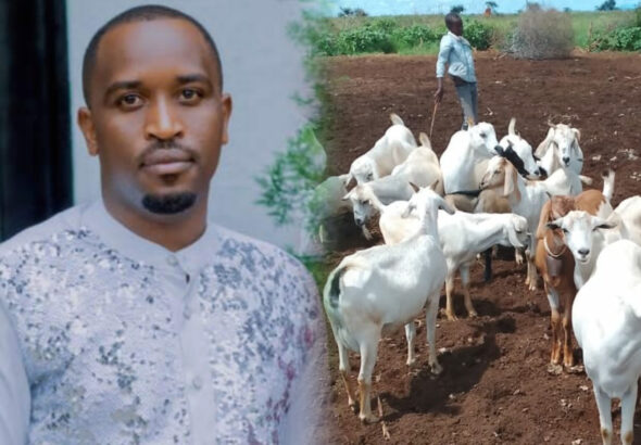 InShot_20260129_162724638