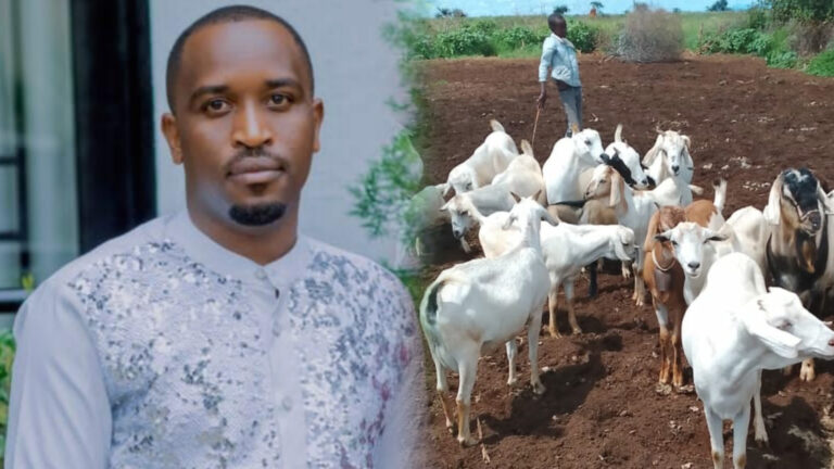 InShot_20260129_162724638