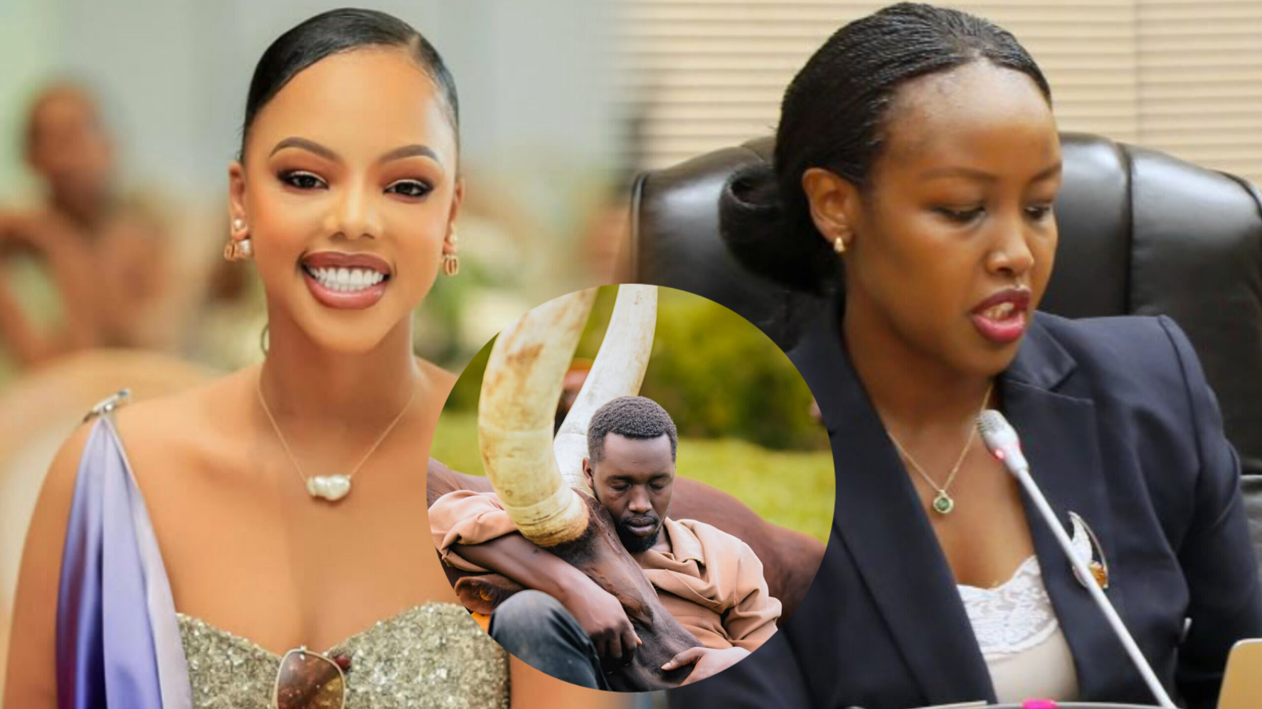 InShot_20260209_130146921