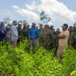 InShot_20260409_112011697