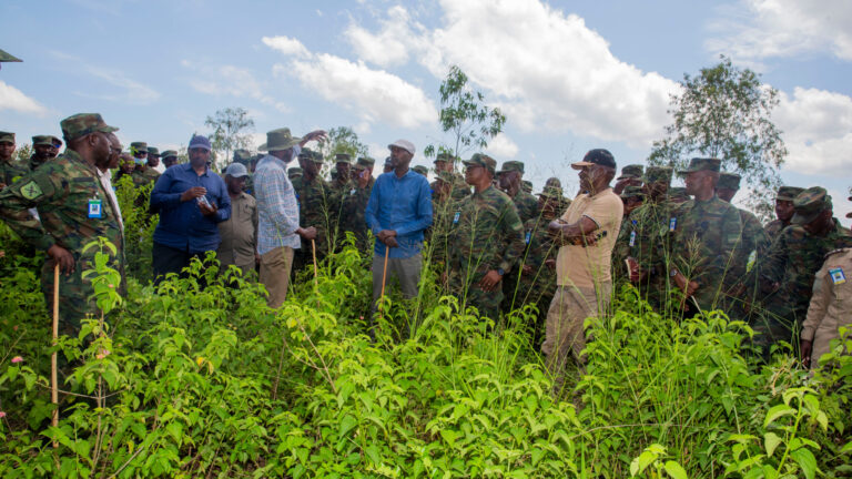 InShot_20260409_112011697