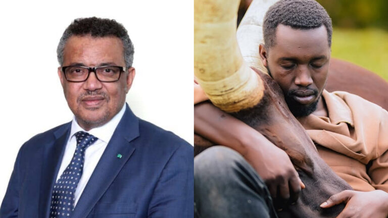 InShot_20260419_182904425