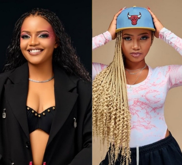 Screenshot_20260417-082555_2