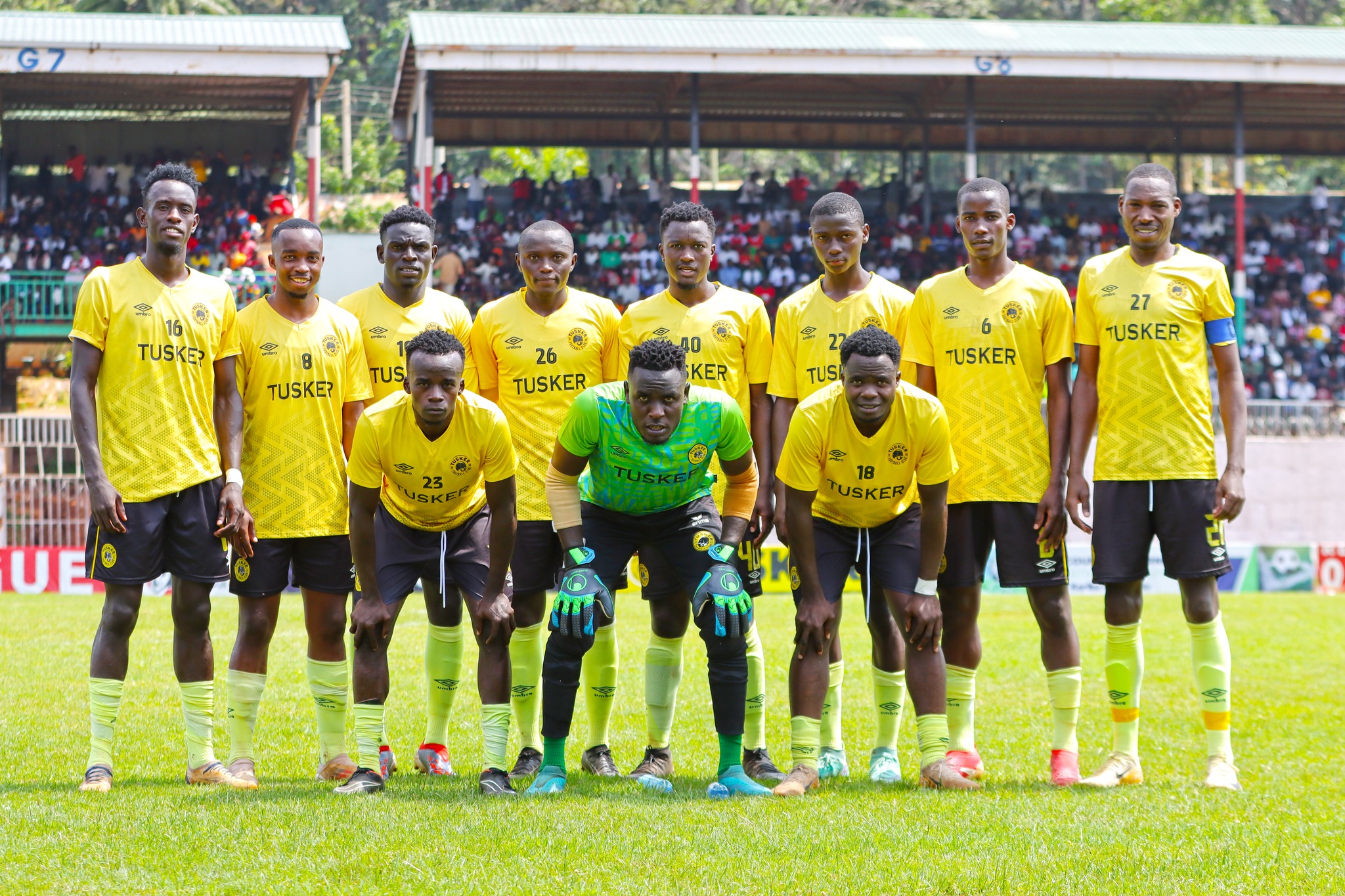 Tusker
